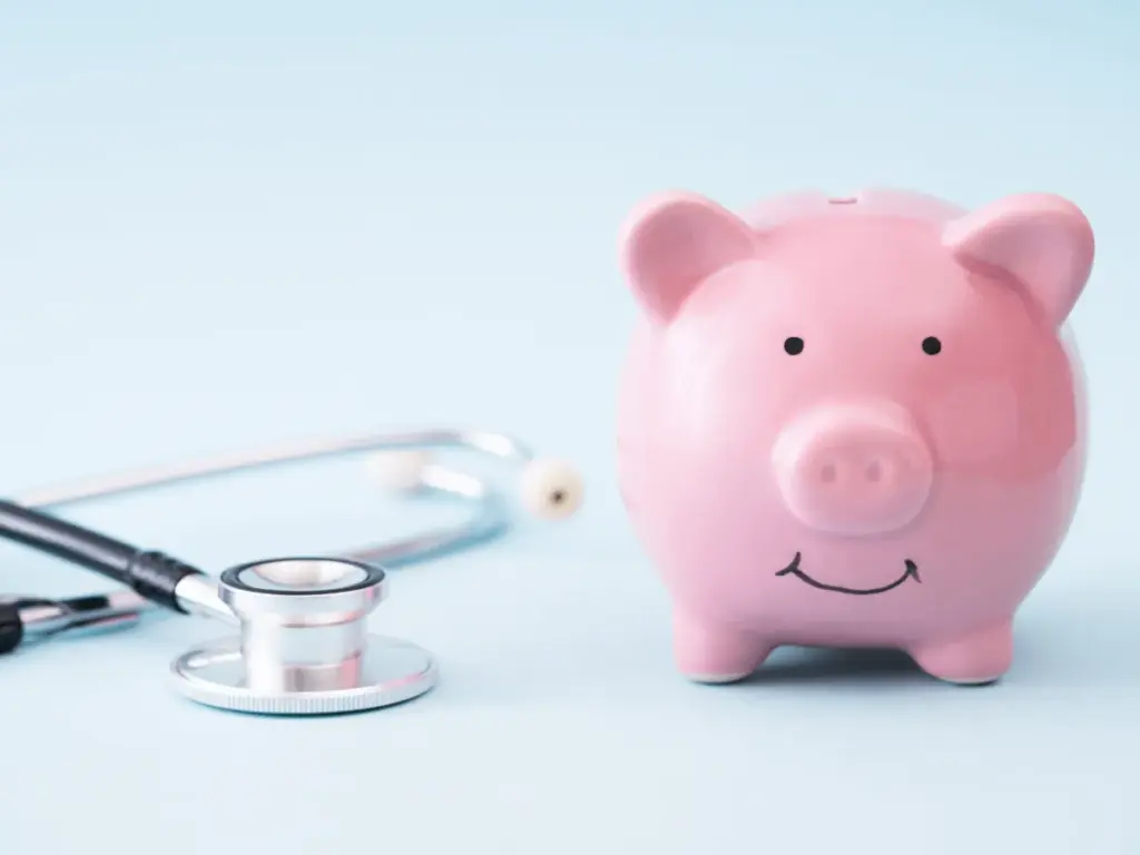 ミレーナの費用