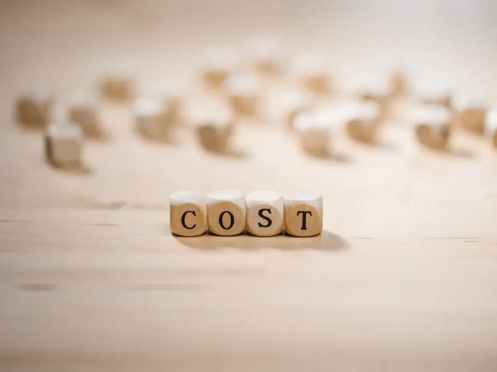 低用量ピルの費用